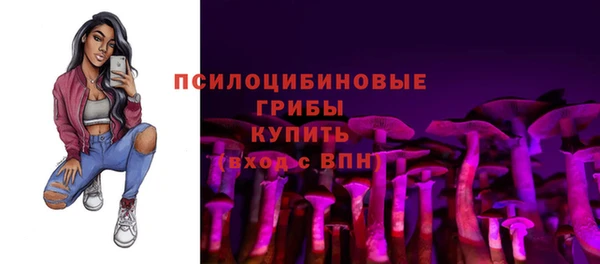 прущие грибы Аркадак