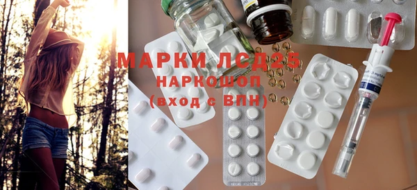 прущие грибы Аркадак