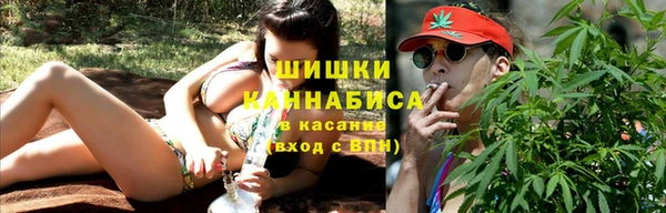 прущие грибы Аркадак
