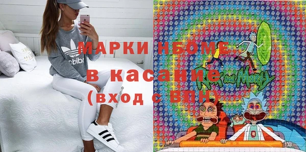 прущие грибы Аркадак