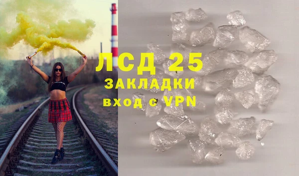 прущие грибы Аркадак
