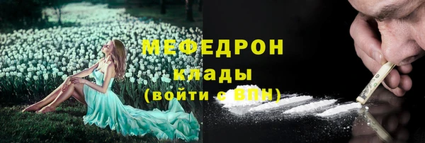 прущие грибы Аркадак