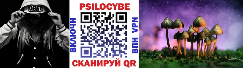 blacksprut   Руза  Галлюциногенные грибы Psilocybe 